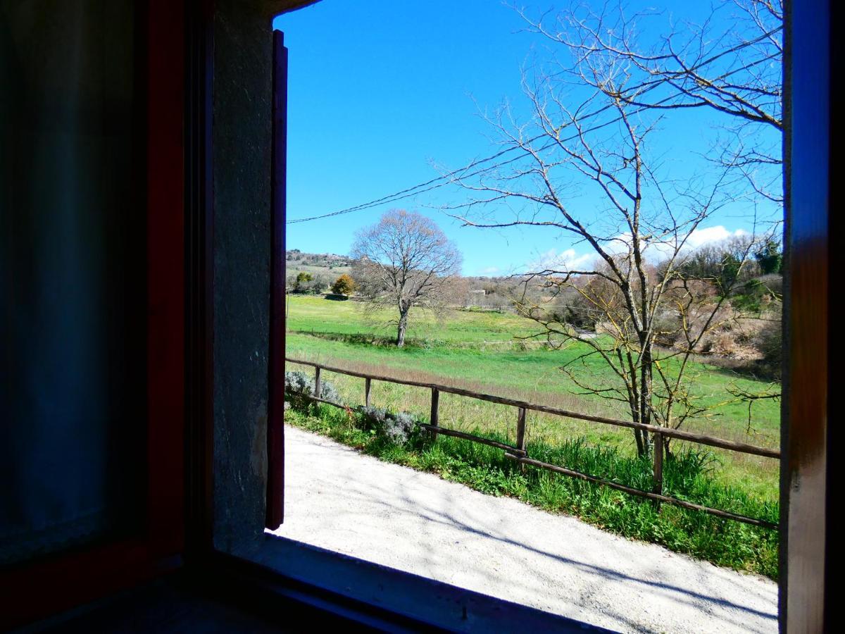 La Baronessa Country House Montefiascone Exterior foto